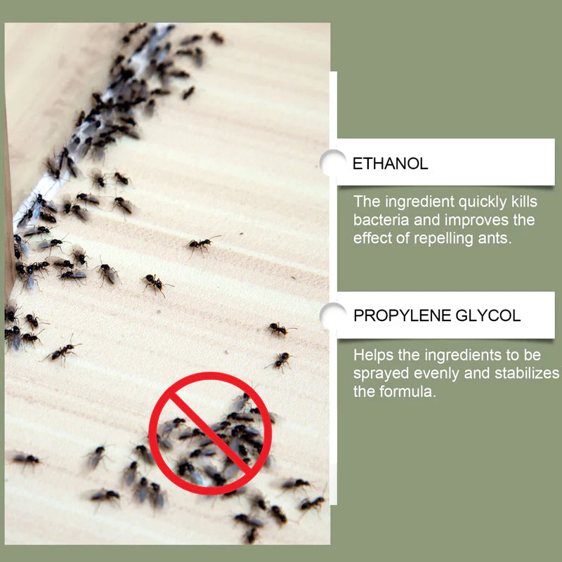AntAway™ Starkes Ameisenspray | 1+1 GRATIS - Image 3