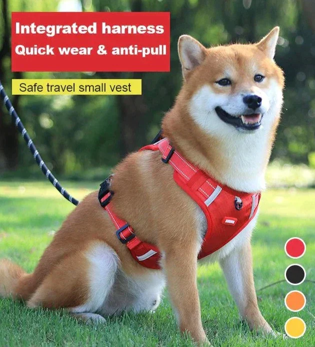 Anti-Zug-Hundegeschirr - Image 4