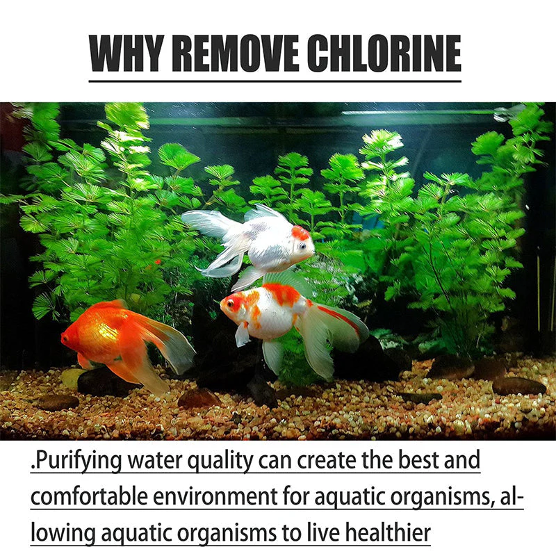 AquaPure Chlorabwehrtabletten — Sofort sicheres Wasser - 100g - Image 4