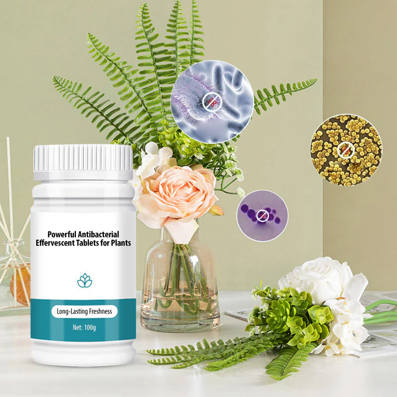 BloomGuard – Antibakterielle Sprudeltabletten für Blumen | 1+1 GRATIS - Image 2