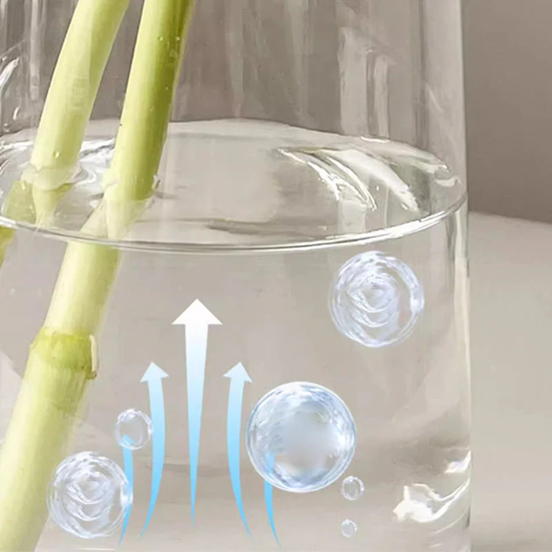 BloomGuard – Antibakterielle Sprudeltabletten für Blumen | 1+1 GRATIS - Image 4