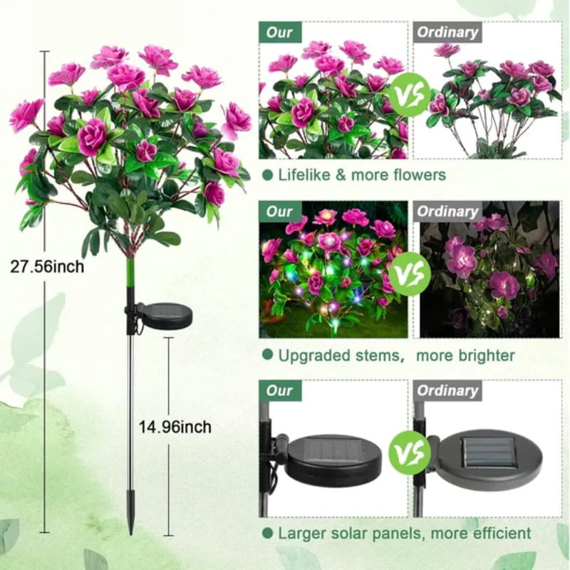BloomLume – Nächte sofort verwandeln - Image 3