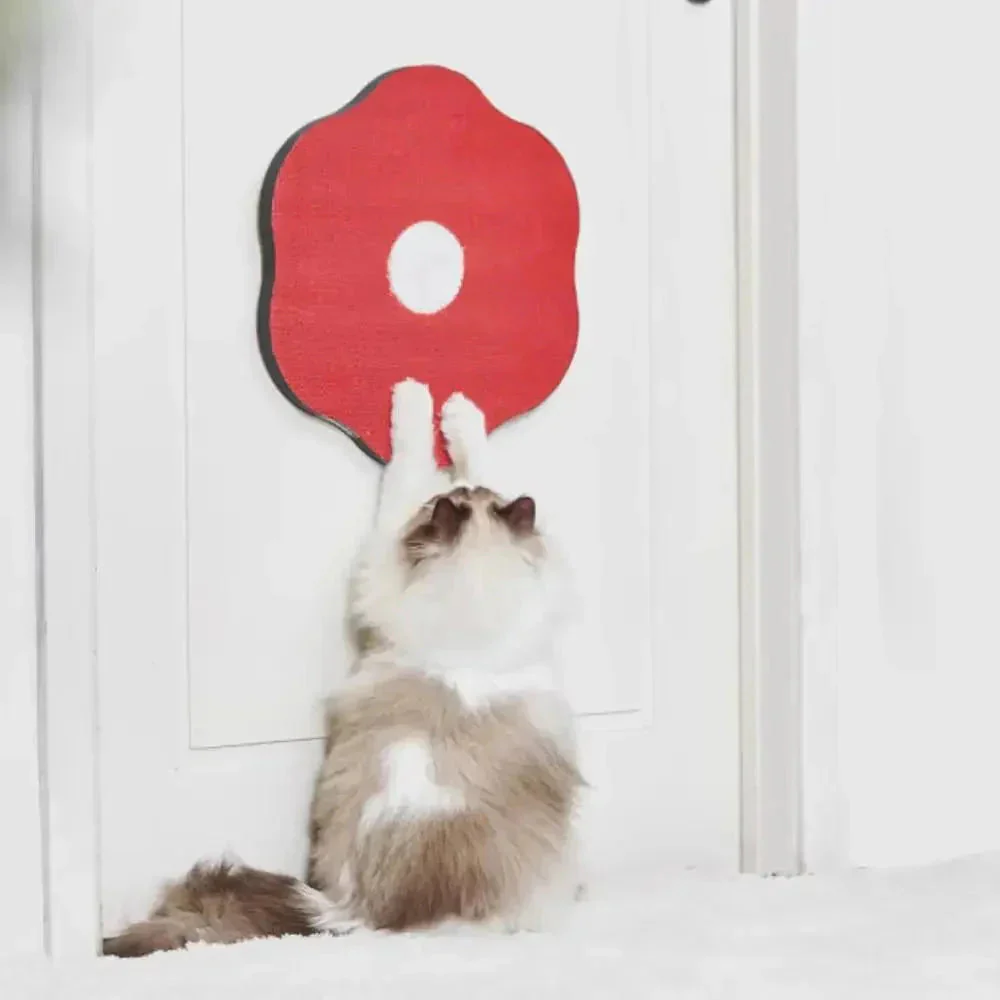 Blumiges Kratzparadies – Möbel schützen, Katzen erfreuen