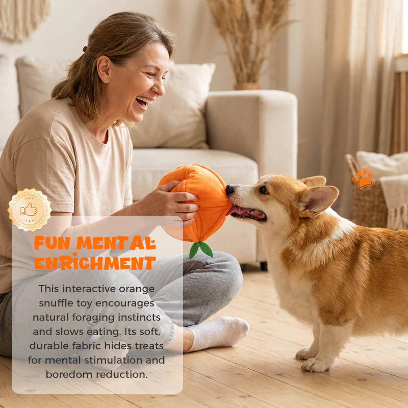 CitrusQuest — Interaktives Hundespielzeug | 50% RABATT - Image 13