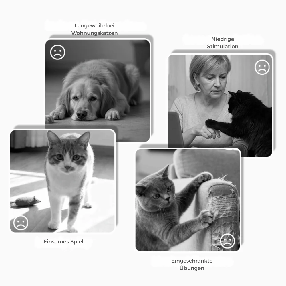 CitrusQuest — Interaktives Hundespielzeug | 50% RABATT - Image 6