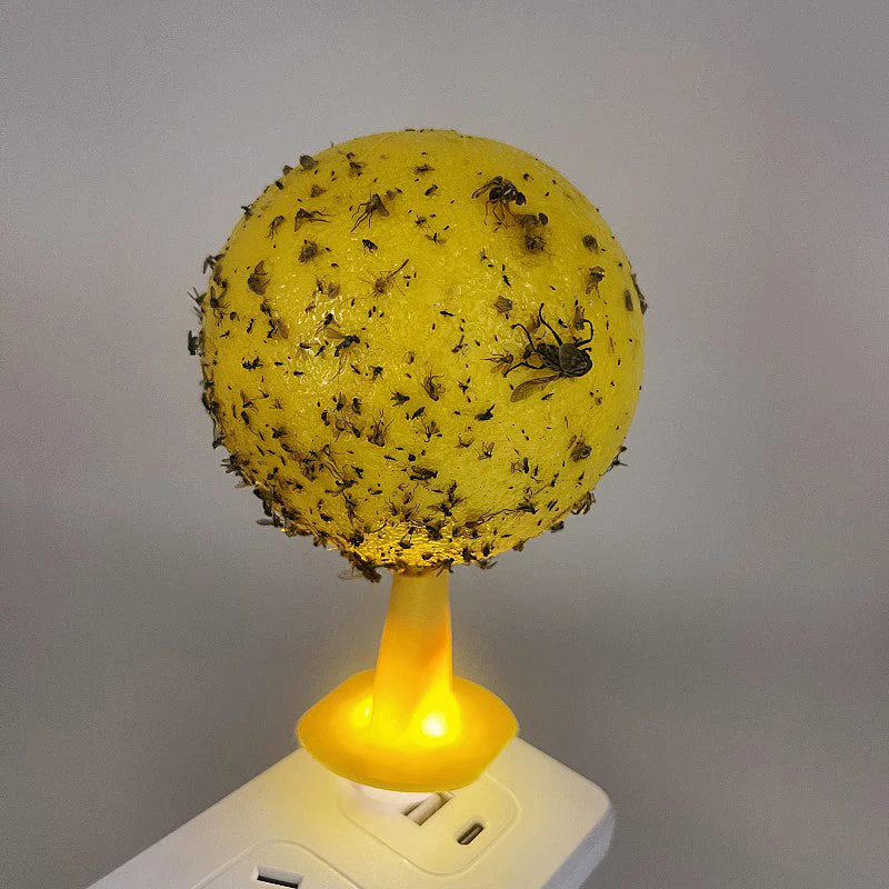 Fruchtfliegenfalle Star — Vertreibe Ärgerliche Schädlinge Mühelos - Image 6