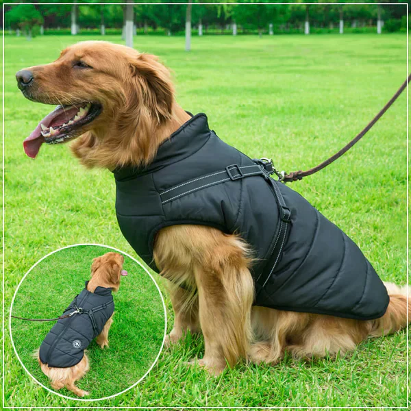 Furcata™ Wintermantel für Hunde | 50% RABATT - Image 3