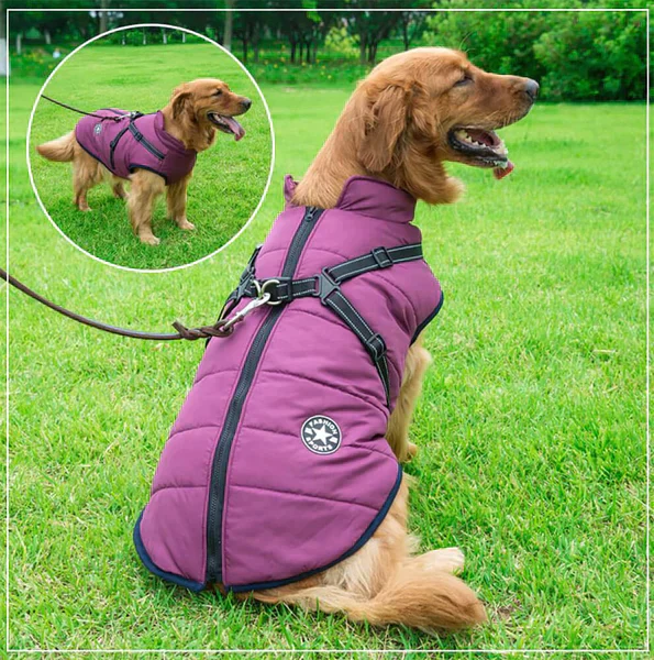 Furcata™ Wintermantel für Hunde | 50% RABATT - Image 4