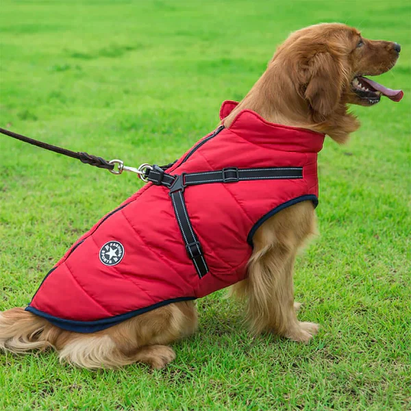 Furcata™ Wintermantel für Hunde | 50% RABATT - Image 5