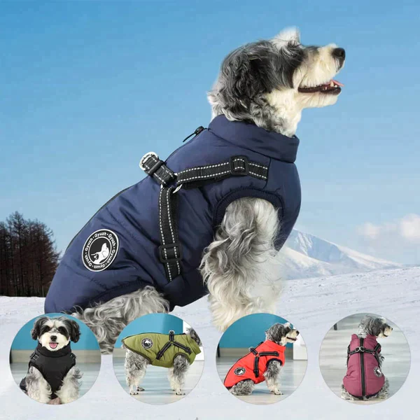 Furcata™ Wintermantel für Hunde | 50% RABATT - Image 7
