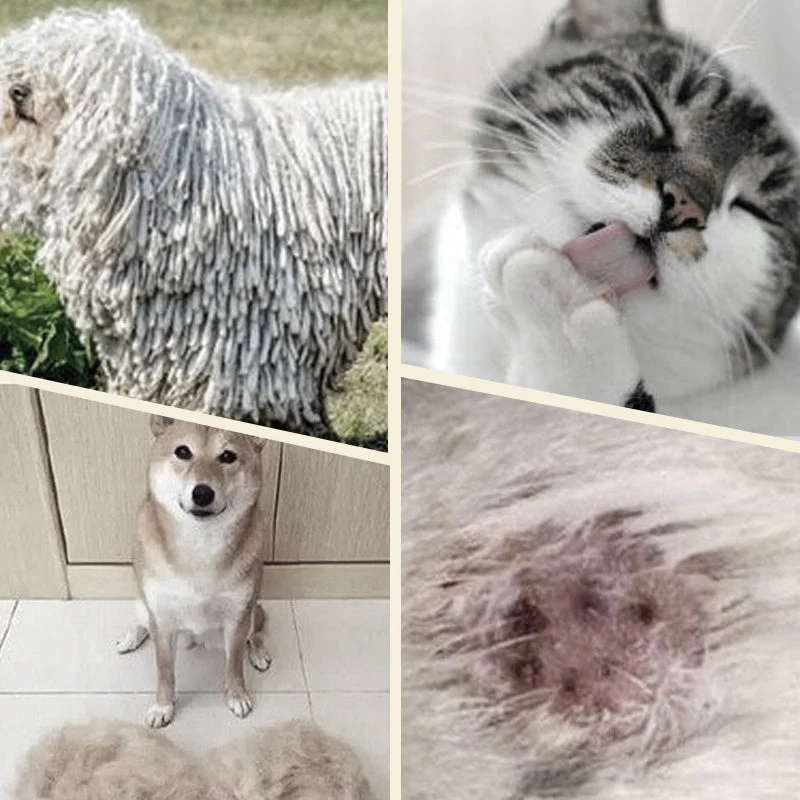 FurEase — Sanfte Fellpflegebürste | 1+1 GRATIS - Image 3
