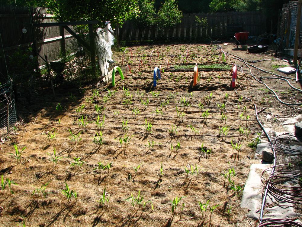 GardenStream™ | Kühlendes Bewässerungssystem - Image 2