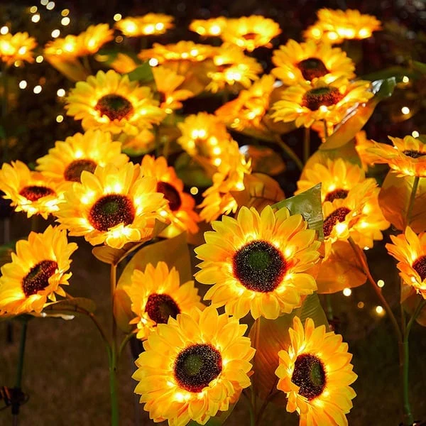 Gartenstrahlen – Bezaubernder warmer Schein - Image 3