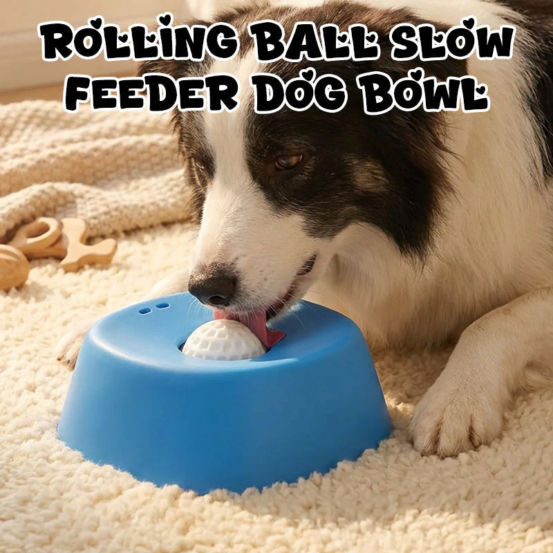 GlidePaw Slow Feeder — Hält Haustiere glücklich