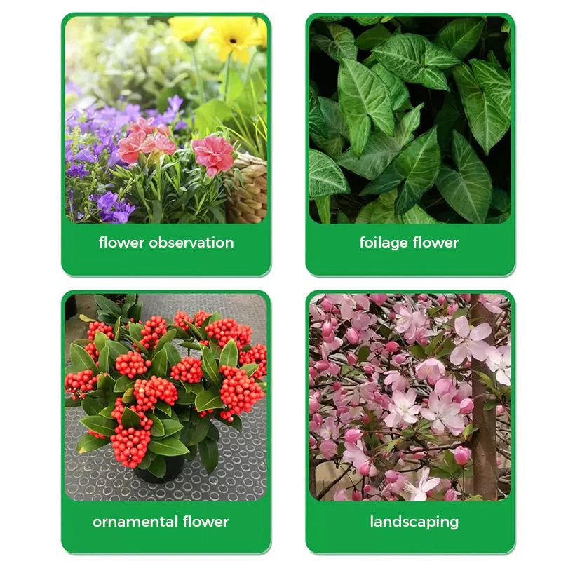 GreenBloom – Schnellwurzel- & Blühpulver | 1+1 GRATIS - Image 8