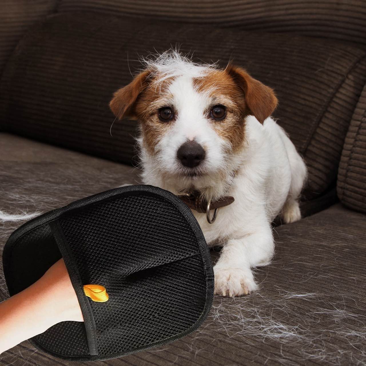 GroomyGlove – Antistatischer Handschuh zur Tierhaarentfernung | 1+2 GRATIS - Image 9