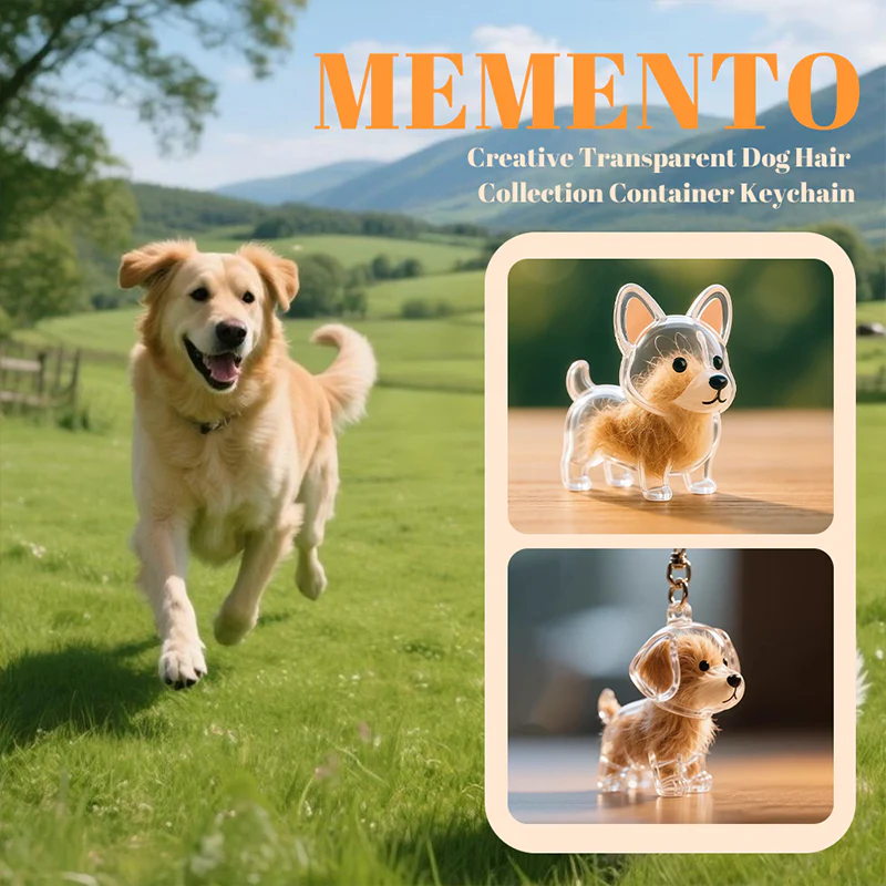 HeartPaw™ – Erinnerungsschlüsselanhänger mit Herz | 1+2 GRATIS