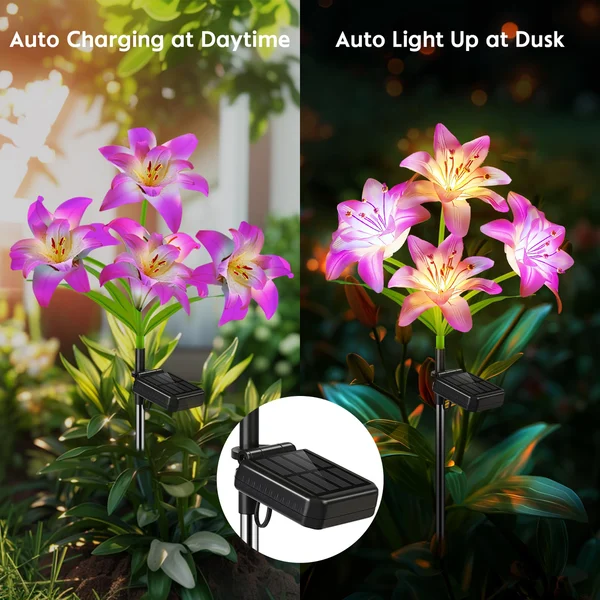 🔥HEISSER VERKAUF 49% RABATT🔥🎄Solarbetriebene blühende Lilienblumen Lichter🎄 - Image 5