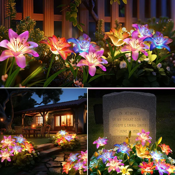 🔥HEISSER VERKAUF 49% RABATT🔥🎄Solarbetriebene blühende Lilienblumen Lichter🎄 - Image 6
