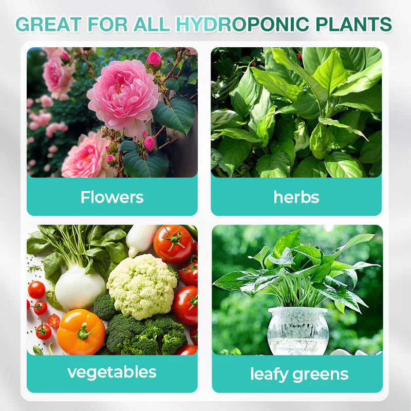 HydroGrow – Hydroponische Nährlösung | 1+2 GRATIS - Image 4