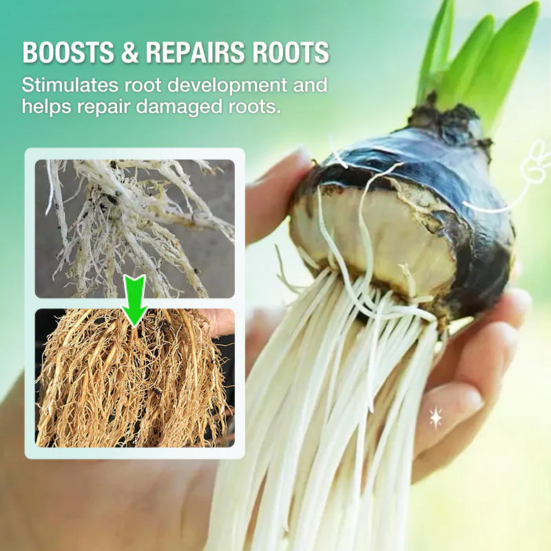 HydroGrow – Hydroponische Nährlösung | 1+2 GRATIS - Image 5