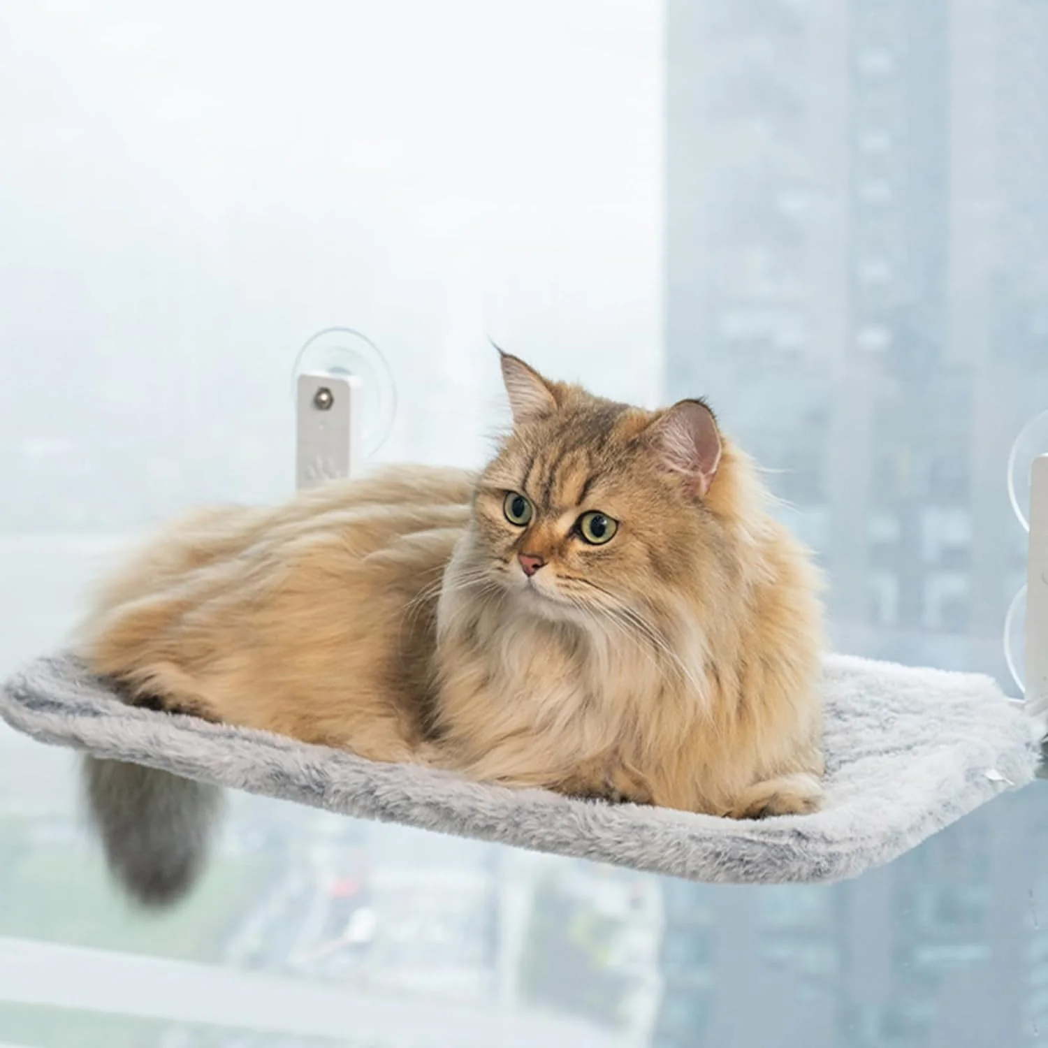 KatzeHängematte™ - Die ultimative Katzenhängematte für Ihre Katze zu Hause | 50% RABATT - Image 3