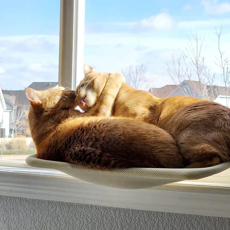 KatzeHängematte™ - Die ultimative Katzenhängematte für Ihre Katze zu Hause | 50% RABATT - Image 5