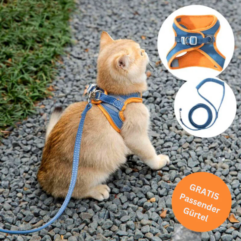 KatzenGürtel- Bequemes Katzengeschirr mit reflektierenden Streifen für sichere Nächte | 50% RABATT - Image 3