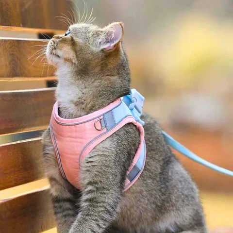 KatzenGürtel- Bequemes Katzengeschirr mit reflektierenden Streifen für sichere Nächte | 50% RABATT - Image 6