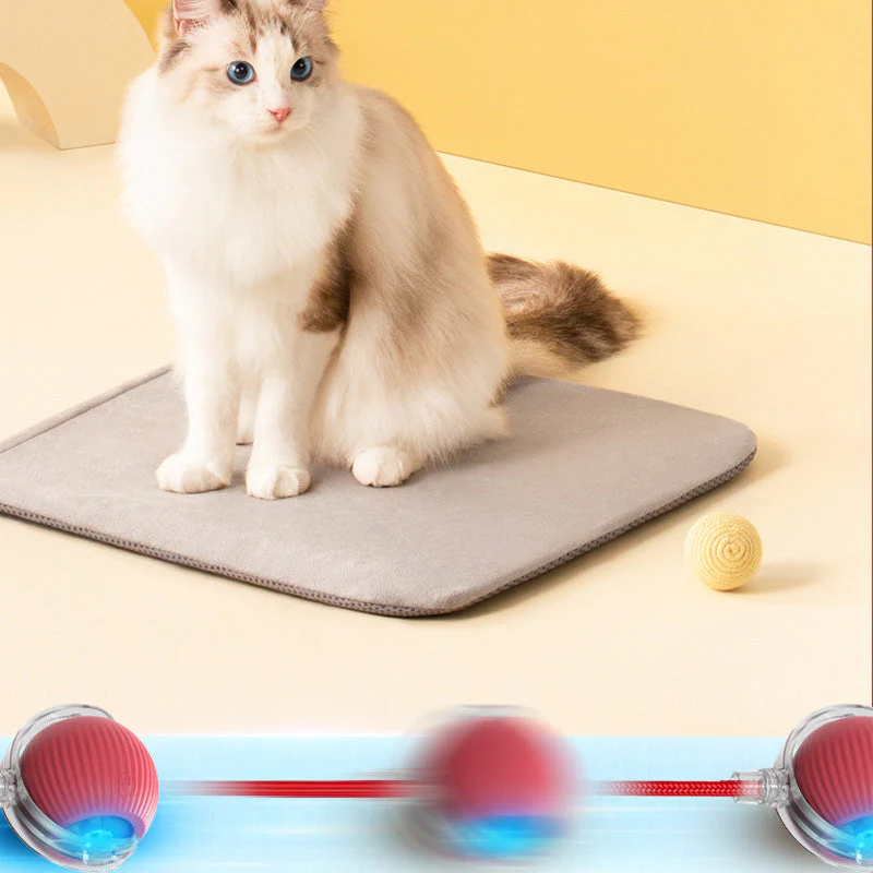 KatzenPower - Interaktiver Indoor-Katzenball | 1+1 GRATIS - Image 10