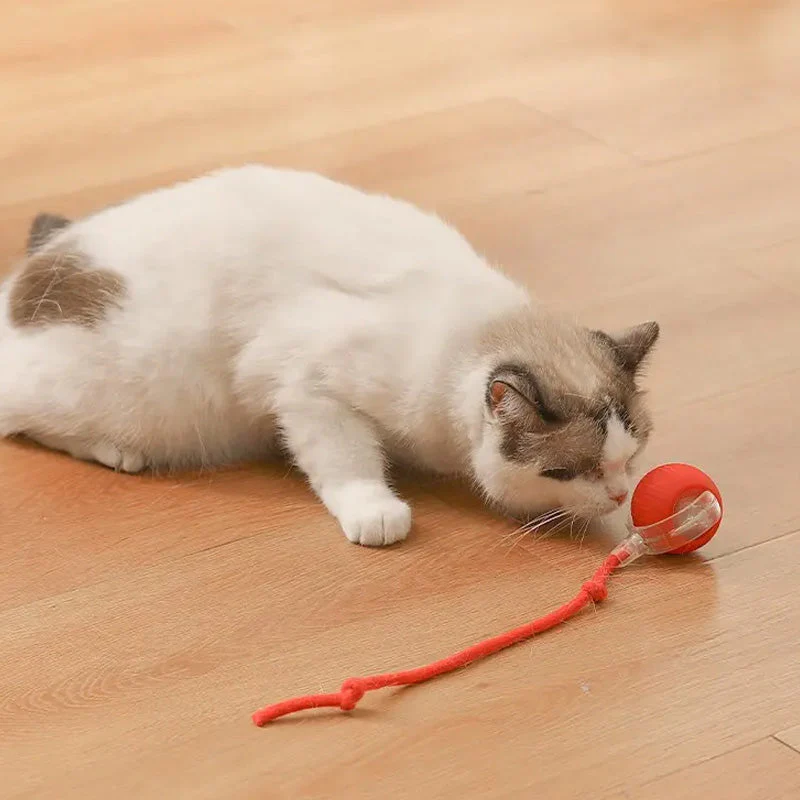 KatzenPower - Interaktiver Indoor-Katzenball | 1+1 GRATIS - Image 11
