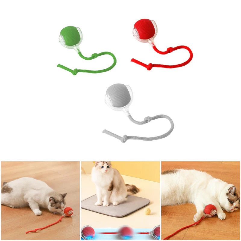 KatzenPower - Interaktiver Indoor-Katzenball | 1+1 GRATIS - Image 3