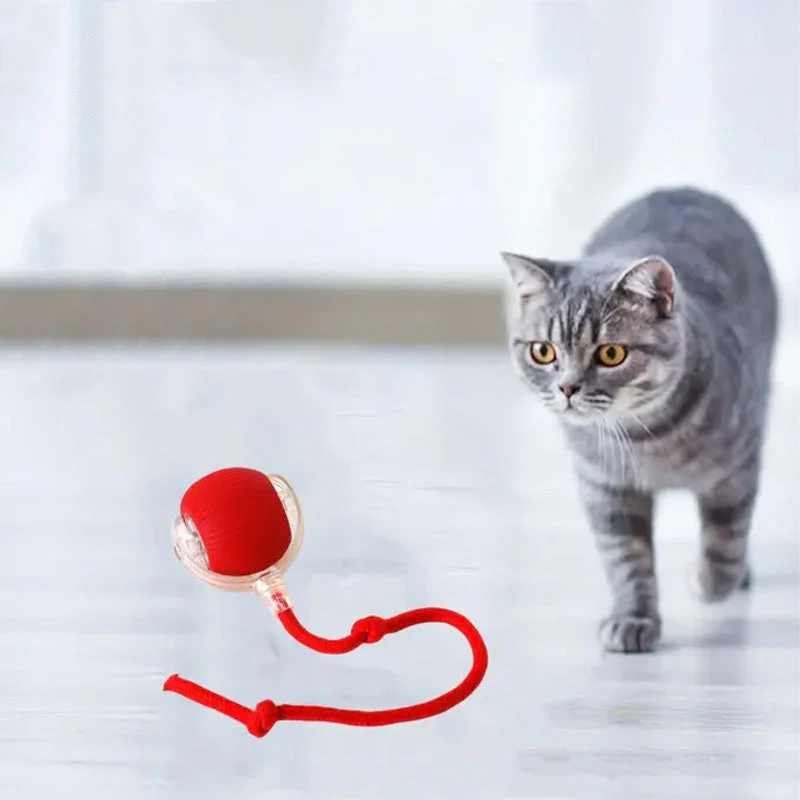 KatzenPower - Interaktiver Indoor-Katzenball | 1+1 GRATIS - Image 8
