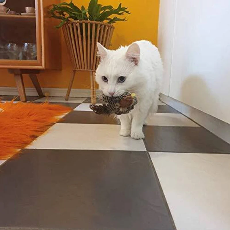 Katzenspaß™ - Der sichere Spielgefährte für Ihre Katze! 50% RABATT - Image 12