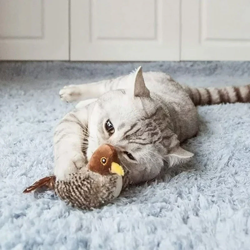 Katzenspaß™ - Der sichere Spielgefährte für Ihre Katze! 50% RABATT - Image 15