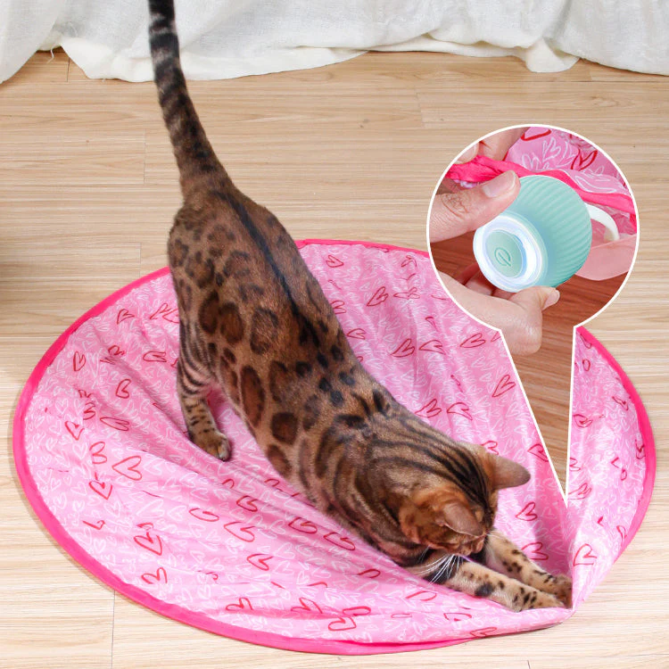 KatzenTanz™ - Aktivieren Sie die natürlichen Instinkte Ihrer Katze! | 50% RABATT - Image 3