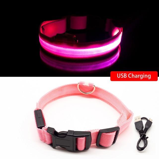 LED-Halsbänder für Hunde™ - Image 10