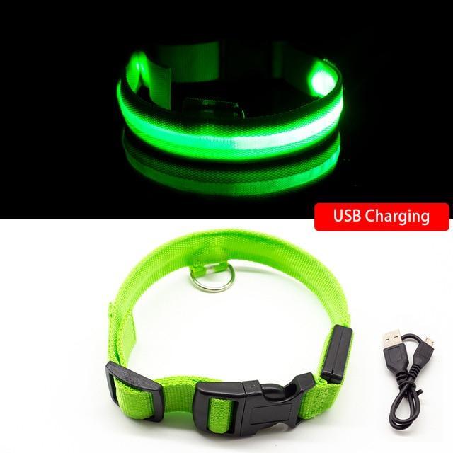 LED-Halsbänder für Hunde™ - Image 11
