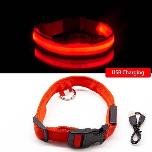 LED-Halsbänder für Hunde™ - Image 12