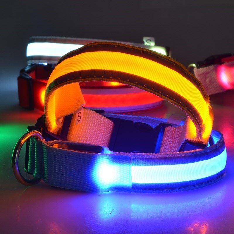 LED-Halsbänder für Hunde™ - Image 13