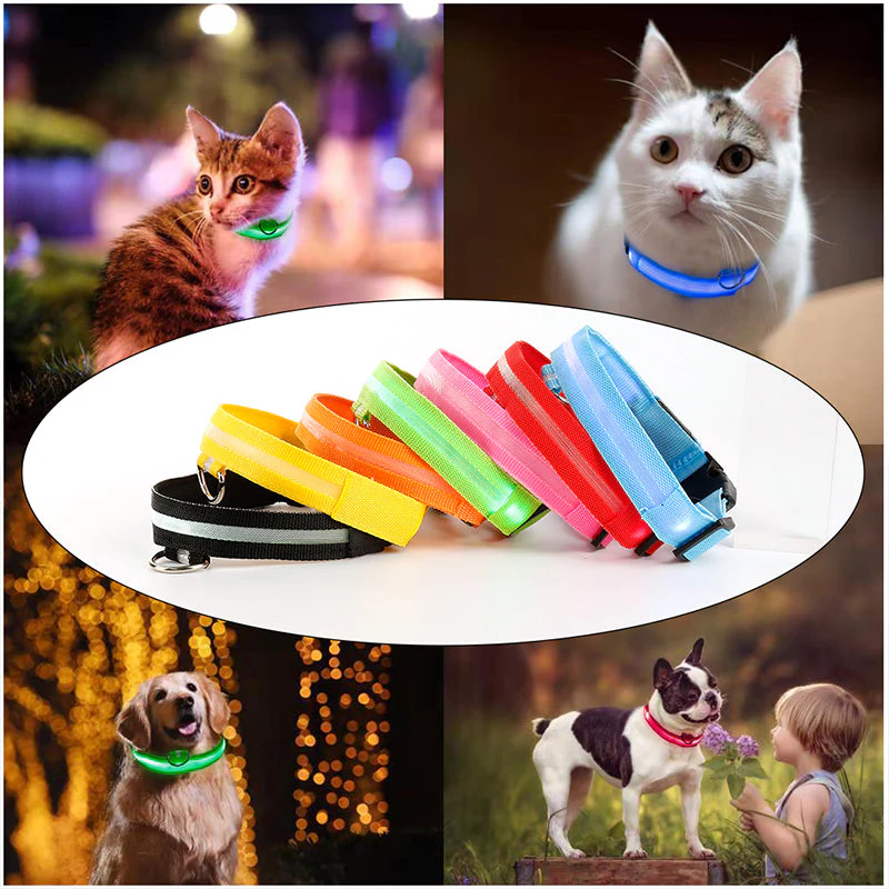 LED-Halsbänder für Hunde™ - Image 16