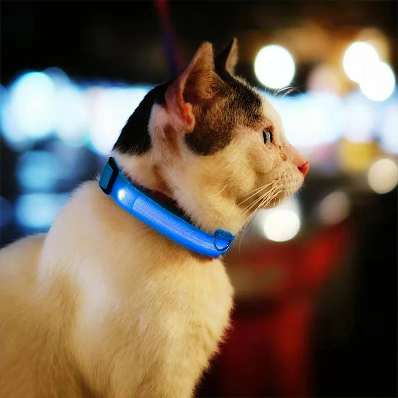 LED-Halsbänder für Hunde™ - Image 18