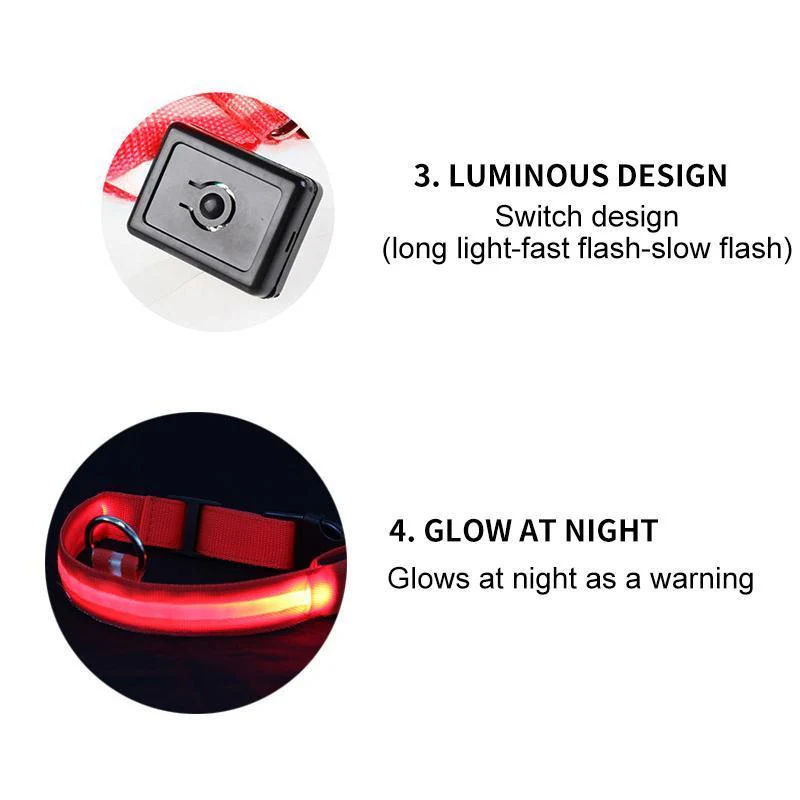 LED-Halsbänder für Hunde™ - Image 22