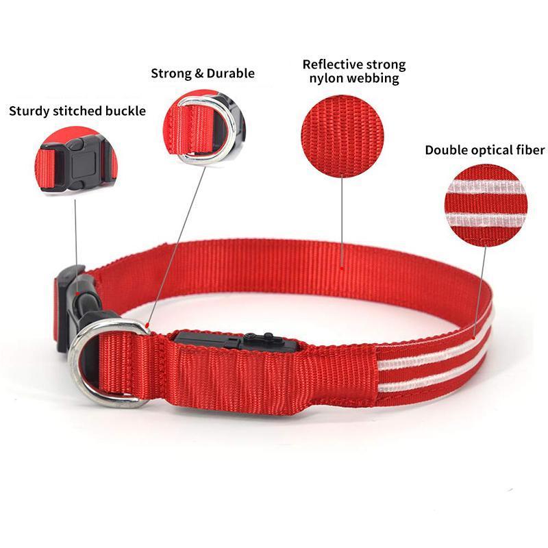 LED-Halsbänder für Hunde™ - Image 23