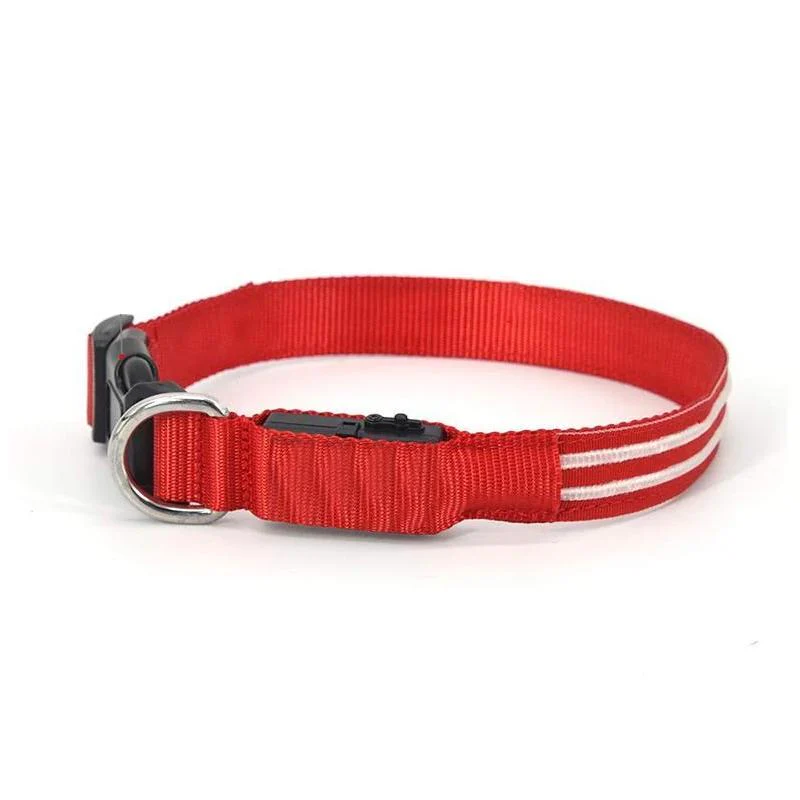 LED-Halsbänder für Hunde™ - Image 24