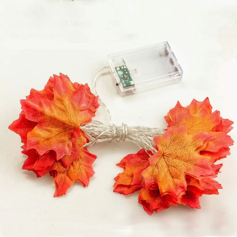 Lichterketten - Herbstdeko Leuchten | 50% RABATT - Image 6