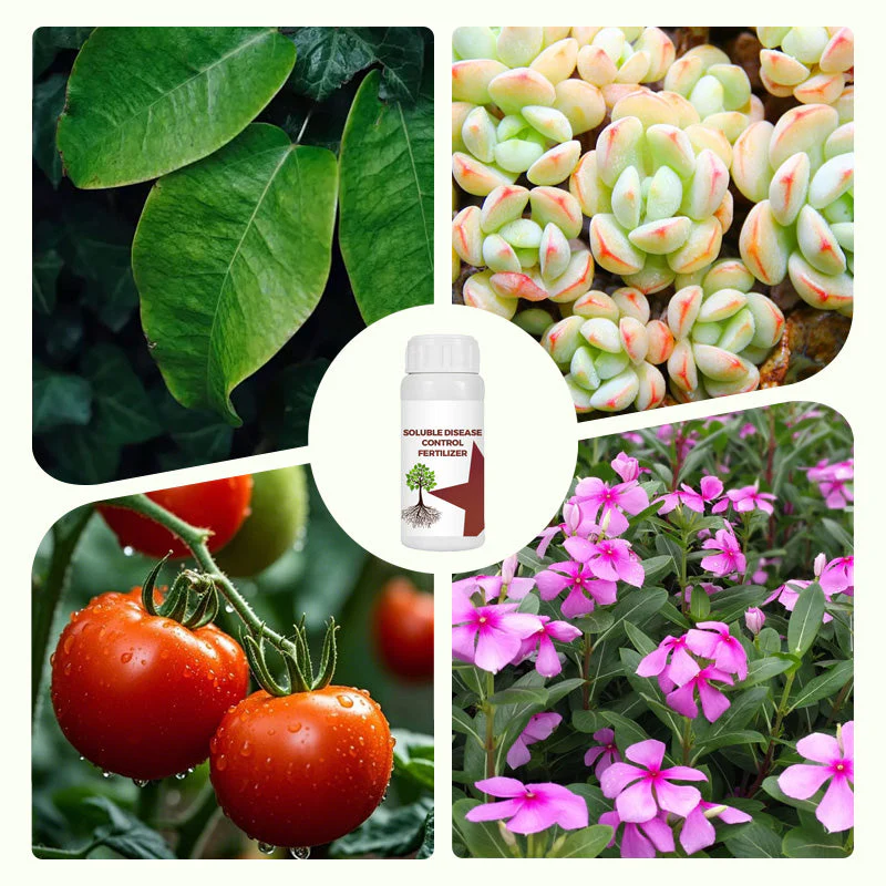 PlantShield™ 130ml Löslicher Pflanzendünger mit Krankheitsabwehr | 1+1 GRATIS - Image 7