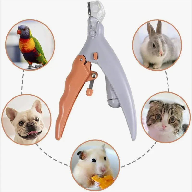 LumiPaw Clipper — Stressfreie Präzisionspflege - Image 5