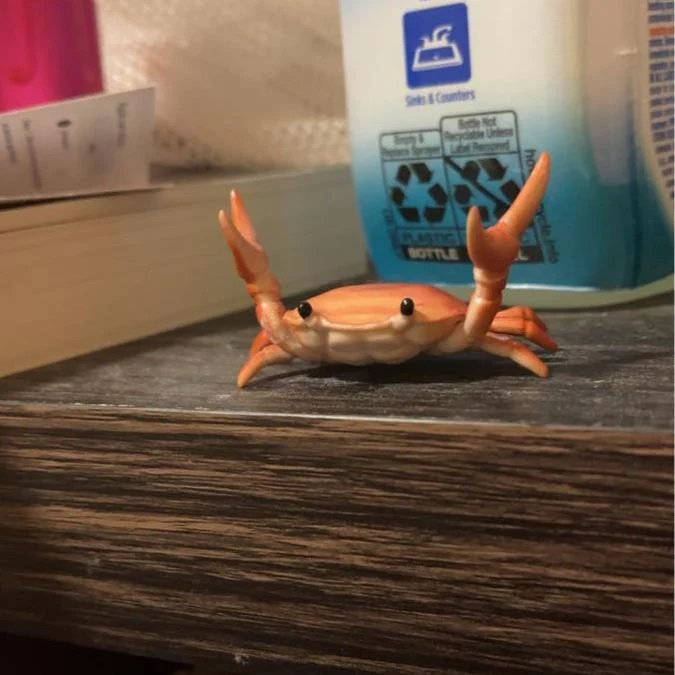 MarvelCrab Organizer — Insta-Beruhigung, Ordentliche Freude - Image 4