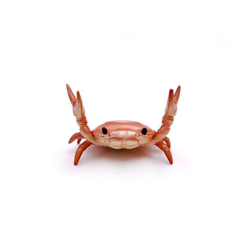 MarvelCrab Organizer — Insta-Beruhigung, Ordentliche Freude - Image 9